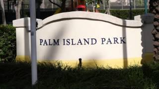 Palm & Hibiscus Islands, Miami Beach | Neighborhood Video