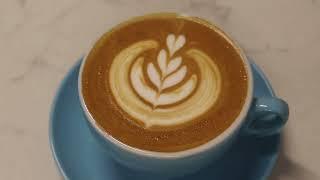 Creating A Canvas for Latte Art