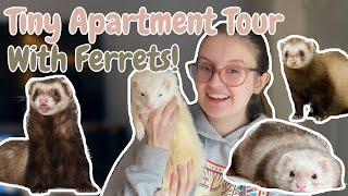 Tiny Apartment Tour + HOW TO FERRET PROOF | Pazuandfriends