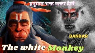 हनुमान जी और बंदर में अब कन्फ्यूज मत होना |Hanuman god or Monkey | junior Hindu #hanuman #ramayan