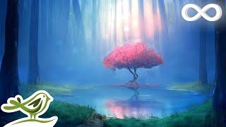 Deep Relaxing Music • Meditation Music, Sleep Music, Ambient Music