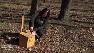 Healed Released Free #3 | Rogers tv