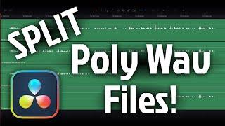 Split Poly Wav Audio Files in DaVinci Resolve | Multitrack Tutorial