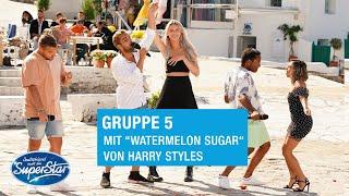 Gruppe 05: Kevin, Shada & Kilian mit "Watermelon Sugar" von Harry Styles