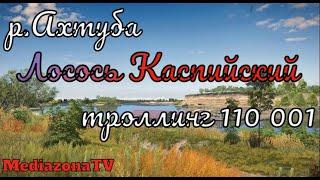 Русская Рыбалка 4 Где Клюет р Ахтуба Лосось Каспийский троллинг 03.01.23