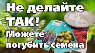 ОШИБКИ ПРИ ПРОРАЩИВАНИИ СЕМЯН. Будьте осторожны!