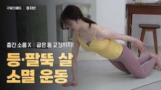 주말의 홈트｜굽은 등까지 펴는 '등·팔뚝 살 소멸 운동', 정지인의 쉬운 다이어트