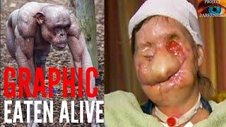 Eaten Alive By Chimpanzee: Womans Face Ripped Off By Travis The Chimp & 911 Audio