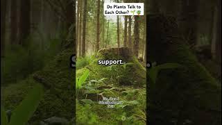 How Plants ‘Talk’ to Each Other  | Secret Language of Plants | Biotic World