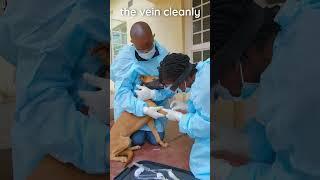 How to treat TVTs with Vincristine (field-setting) #veterinary #vetacademy #vetresources #vetstudent