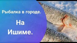 РЫБАЛКА В ГОРОДЕ ! НА РЕКЕ ИШИМ