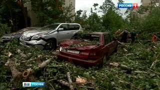 Ночной ураган: Рузский район принял на себя основной удар