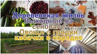 Переезд из города в деревнюДеревенская жизньМаленький урожай с огородаВыходные на сеновале