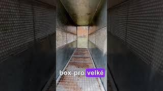 Přepravní box pro velké šelmy! #lion #lions #traveling #lev #tygr #kočky