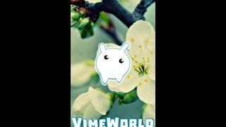 VimeWorld