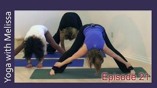 Yoga with Melissa Episode 21: Kidney and Bladder Meridians with Dr Melissa West