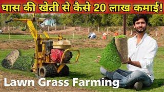 Lawn Grass Farming । घास की खेती से कैसे 20 लाख की कमाई । Agriculture business Opportunity