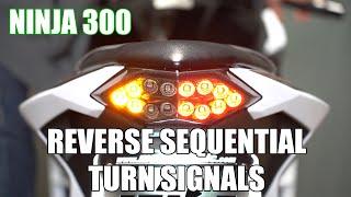 Motodynamic Ninja 300 Integrated LED Tail Light Reverse Sequential Turn Signal Demo