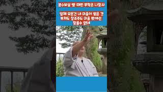 문수도량뿐 아니라 천하를 다 뒤져도 찾을 수 없던 문수보살. 보고 듣는 그 자리가 문수였네. 무착의 깨달음. 나를 찾은 사람, 나찾사  #shorts #산골노승의 푸른목소리