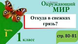 Откуда в снежках грязь? Окружающий мир. 1 класс, 1 часть. Учебник А. Плешаков стр. 80-81