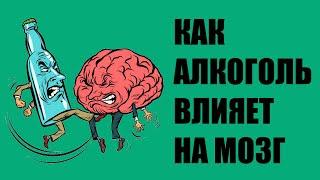 Как алкоголь влияет на мозг и память?