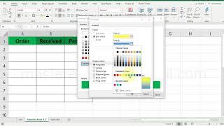 Two colors fill | Basic Tips & Tricks in excel