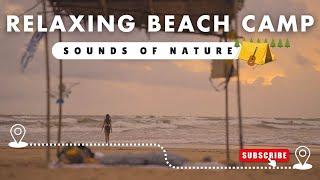 ASMR Relaxation By A Remote Beach | Sounds of Nature | Talkin Travel