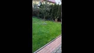 First flight of Spyda 500