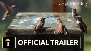 Every Little Thing | Official Trailer