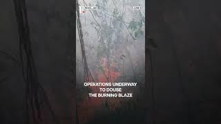 J&K: Massive Forest Fire Erupts In Reasi District | N18G