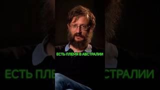 Деконструкция Станислав Дробышевский: мужская инициация у диких племён #дробышевский #антропология