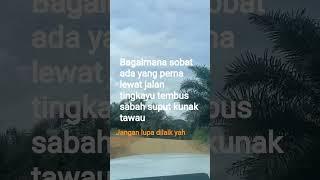jalan tingkayu kunak #live #automobile #katakatabijakalibinabuthalib #offroad #fromkatabijak