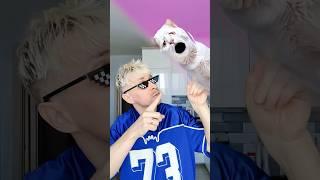 Money talks Cat#tiktok #trend
