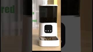 Introducing our Automatic Wi-Fi Cat Feeder