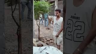 Kisi gali m brown lion bakra aayqurbani2025️ #cow #qurbanvlogs #cowgoat #lion #cow #animals