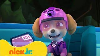 The Pups Get NEW Animal Vehicles! | PAW Patrol | Nick Jr. UK