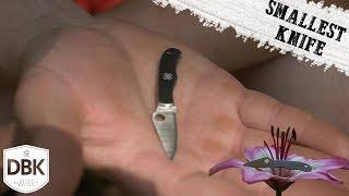 SMALLEST Knife Ever! And Still Great!