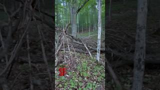 TERRIFYING ENCOUNTER Captured on camera!?  #scary #shorts #ghost