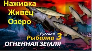 Наживка Живец Русская Рыбалка 3 Огненная земля (Russian Fishing) Заработок для новичков