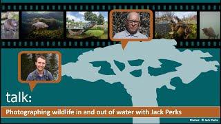 talk: Photographing wildlife in and out of water with Jack Perks