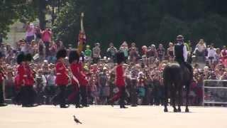 Life Guards + Blues and Royals Bands Dismounted + Royal Artillery Band - July 2013