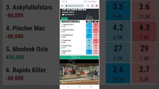 Grayhound Race Win On Pakistan Betpro Exchange Online Betting