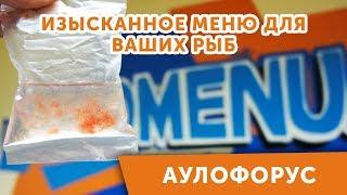 Аулофорус - живой корм для аквариумных рыб. Уникальный продукт уже в продаже!