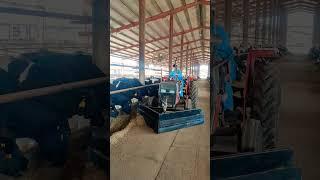 feed pushaer desi jugaad phpl Maastan official,