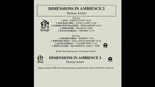 Various ‎– Dimensions In Ambience 2 (Quango, 1997) Full Album [Ambient/Mixed]