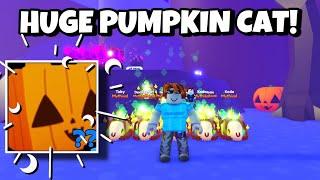I TRIED TO HATCH THE NEW EXCLUSIVE HUGE PUMKIN CAT IN PET SIMULATOR X