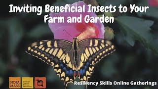 Inviting Pollinators to Your Farm and Garden with Elise Smith (Resiliency Skills Online Gathering)