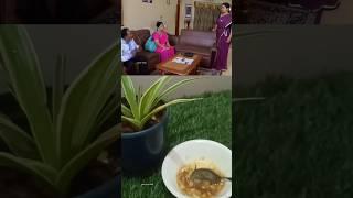 Do you guys remember the vani Rani serial?Weight loss tips#yt trending shorts#health tips#Jancyvlog