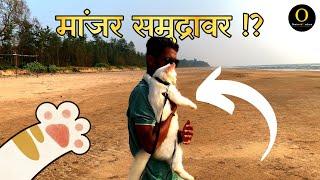 पहा का घेऊन गेलो मी मांजराला समुद्रावर ! || omkar sawant