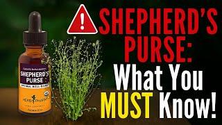 How to Safely Use Shepherd's Purse for Postpartum Care and Heavy Menstrual Bleeding